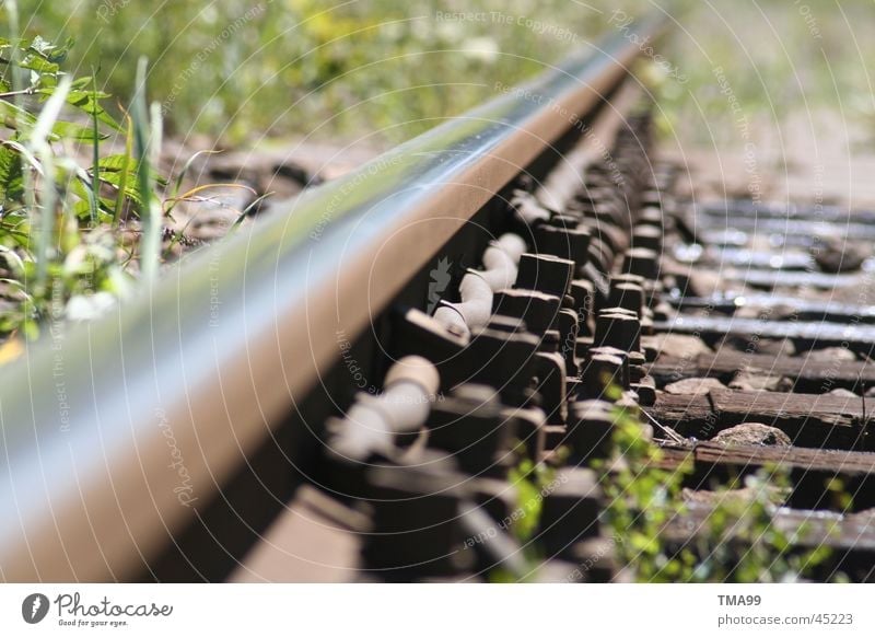 endless Railroad tracks Infinity Grass Transport db Far-off places Metal