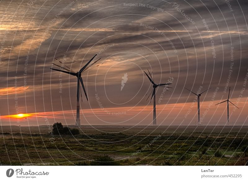 Renewable Energies Energy industry Renewable energy Wind energy plant Environment Nature Landscape Sunrise Sunset Fog Germany Moody Business Change