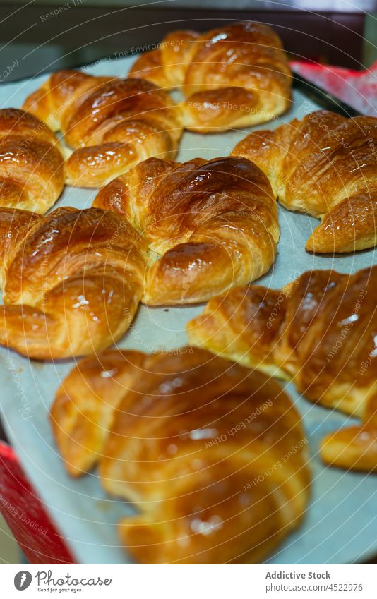 Fresh baked croissants placed on baking tray tasty pastry delicious food bakehouse homemade yummy bakery sweet fresh dessert daylight cuisine appetizing product