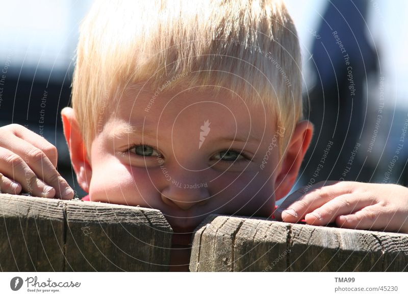 hoo-hoo Child Hand Tree trunk Playground Portrait photograph Human being Part Boy (child) Eyes