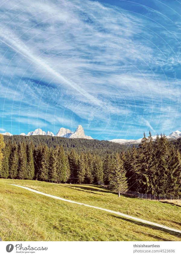 View over trees to the Three Peaks, Passo Rolle, Dolomites, South Tyrol, Italy Forest Tree mountains Sky outlook Nature Landscape Mountain Green Blue Clouds