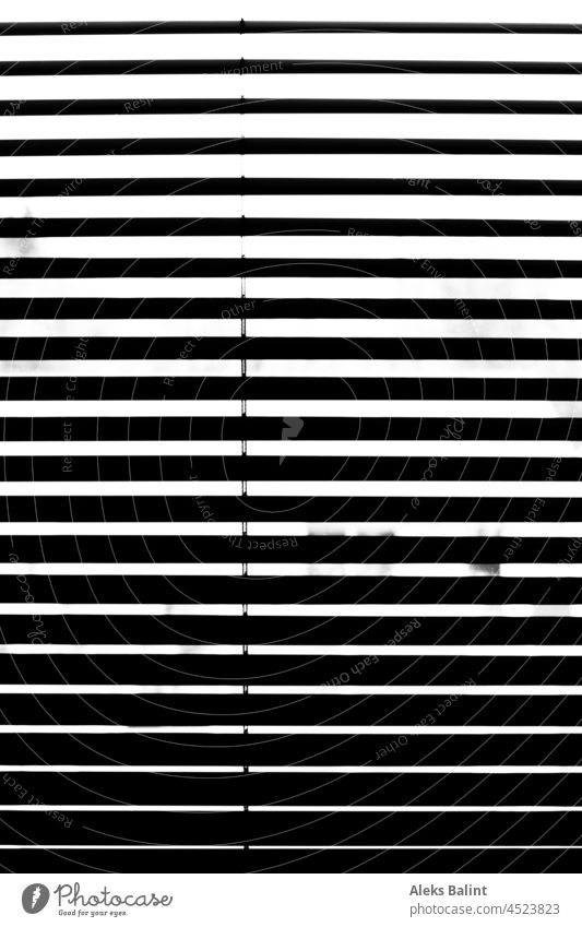 Blind in black and white Venetian blinds Window black-and-white Shadow Light Contrast Structures and shapes Roller blind