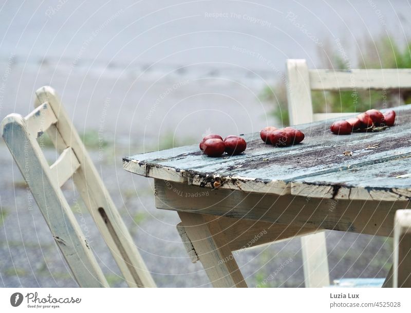 Detail of a weathered wooden table on the side of the road, some chestnuts lying in a row.... Table Old Weathered out Autumnal Roadside decoration decorated