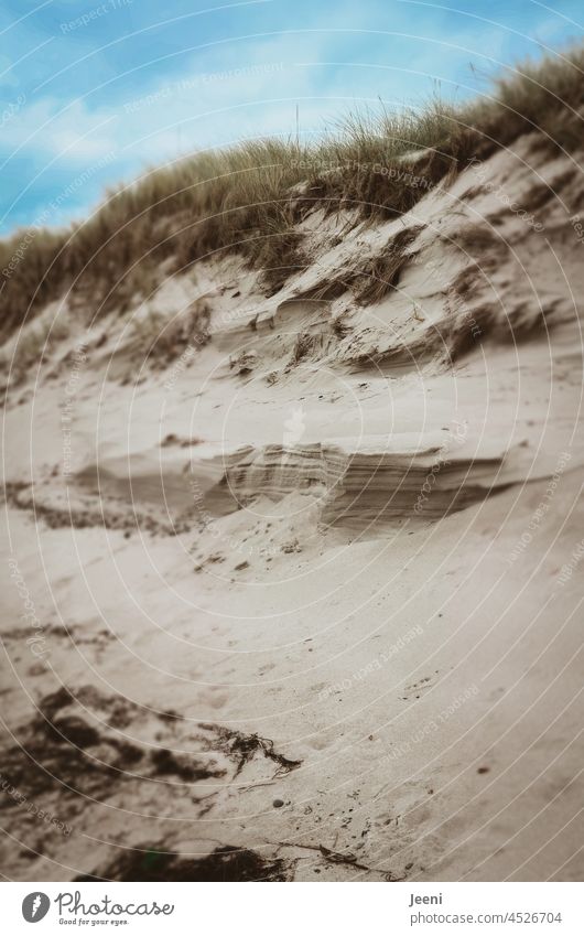 Sand dune pattern against blue sky - a Royalty Free Stock Photo from  Photocase