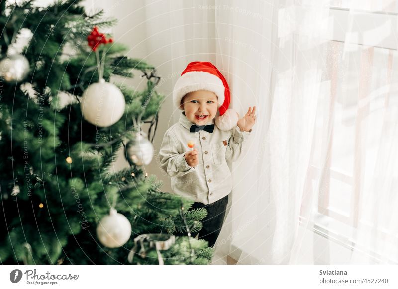 A cute boy is eating a lollipop in front of a decorated Christmas tree, the kid is enjoying the holiday christmas new year candy sweet celebration happy