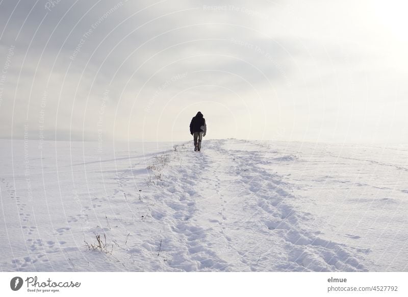 In the snow many traces of humans and animals are to be recognized, on a field way a man runs lonely toward horizon Snow Horizon off off the beaten track Winter