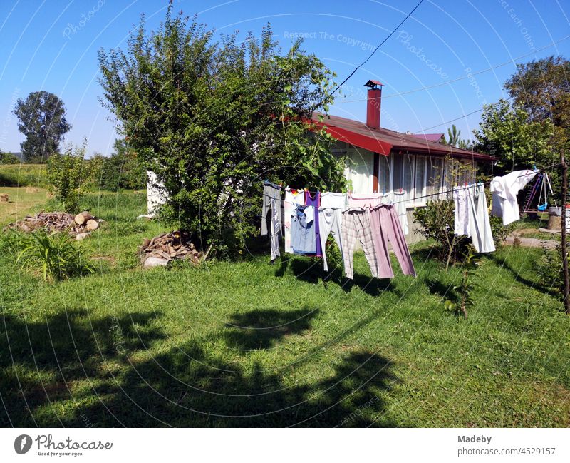 Colorful laundry on the clothesline in a green garden in summer in the countryside with blue sky and sunshine in Maksudiye near Adapazari in the province of Sakarya in Turkey