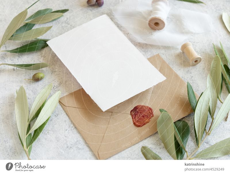Blank cards and envelopes on table with olive tree branches Wedding mockup invitation Mediterranean rustic close up white blank vintage twig green sealed craft