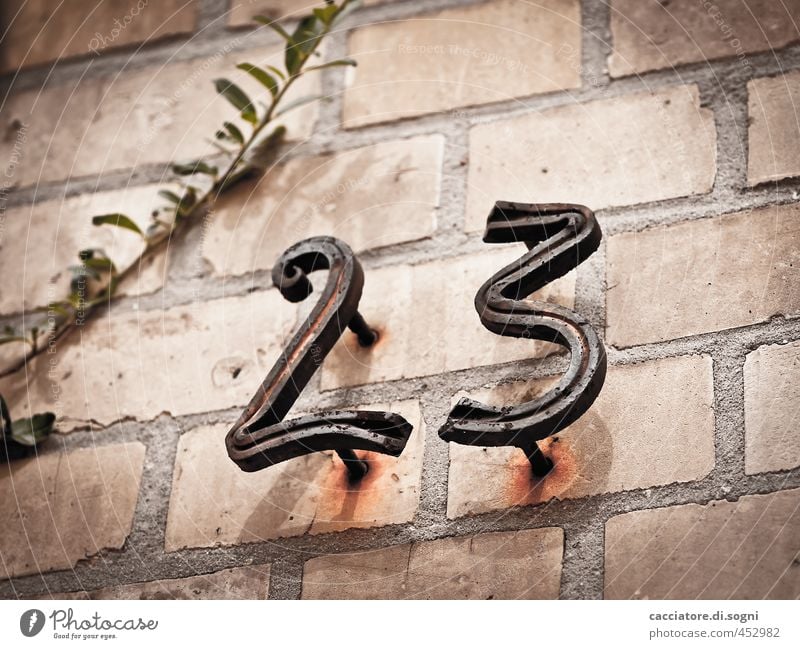 twenty three Twig Wall (barrier) Wall (building) House number Digits and numbers Old Dark Cold Gloomy Gray Orange Black Endurance Senior citizen Bizarre