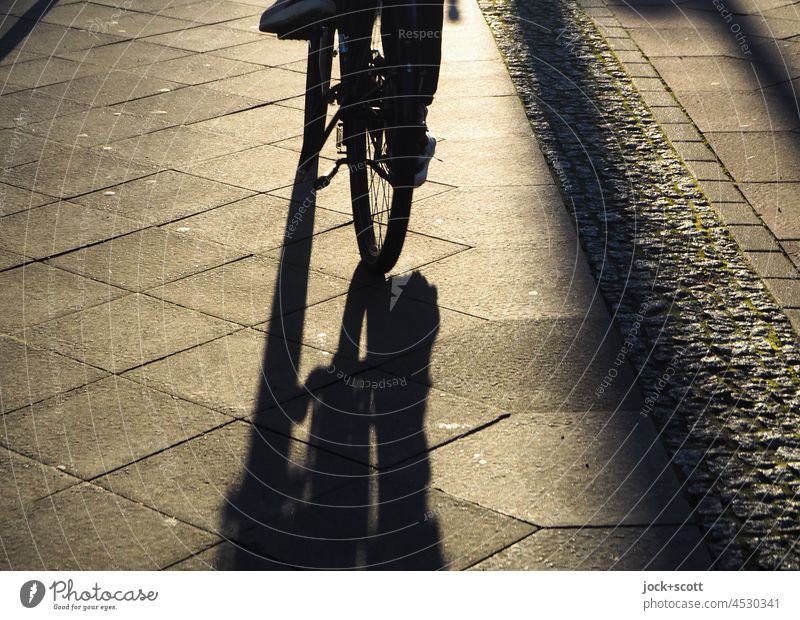 Lightness | with the bike in the evening sun Bicycle Cycling Driving Means of transport Lanes & trails Sidewalk Back-light Mobility Sunlight Silhouette Warmth