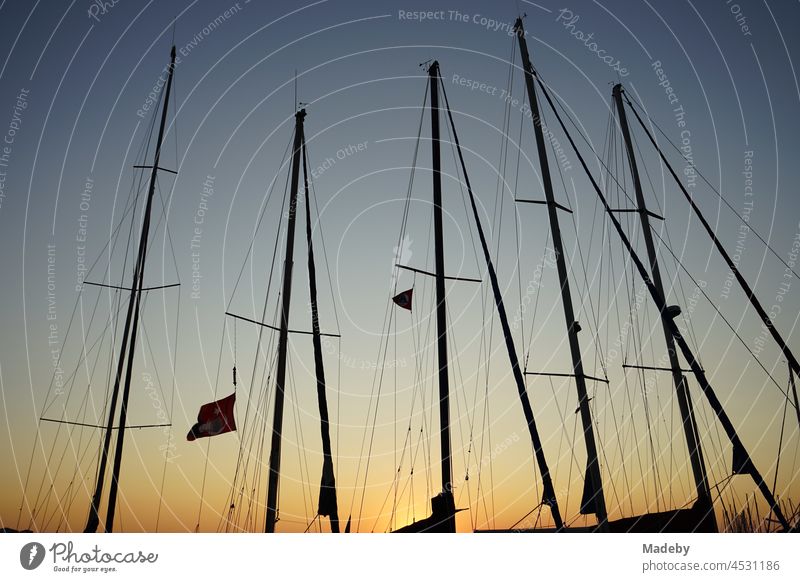 Masts and rigging of yachts and sailing ships in the light of the setting sun in summer at the harbour in the bay of Foca at the Aegean Sea in the province of Izmir in Turkey