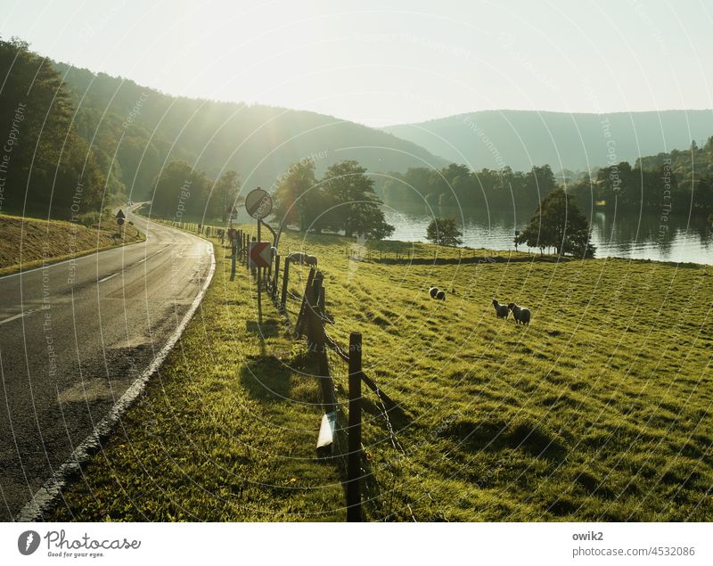 On the Main mainfranken Lower Franconia River Vantage point farsightedness Idyll wide mountains Horizon Sunlight Riverbed Exterior shot Colour photo Main quad