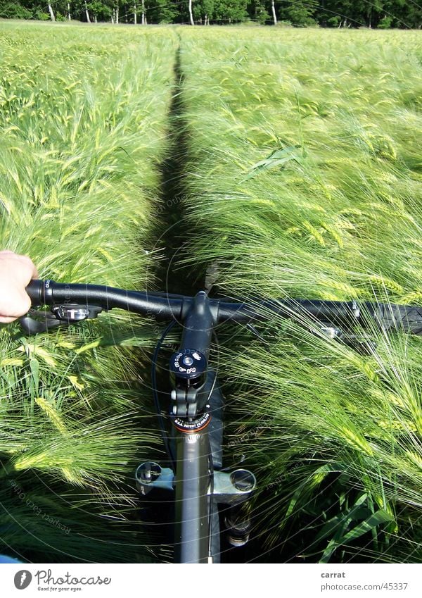 Road?!? Bicycle Cornfield Field Summer Territory Vacation & Travel Mountain bike First person view Ocean Transport Harvest Mecklenburg-Western Pomerania marine