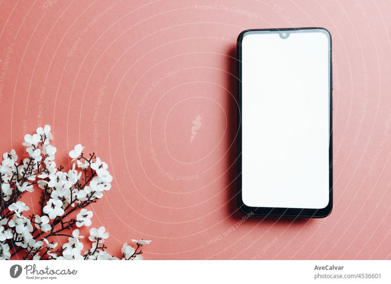 Minimal design of a blank space mobile phone, Beauty products and make-up brush with on pink pastel background. Flat lay banner with copy space for text. Luxury beauty.