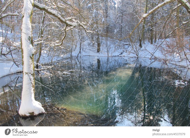 Winter at the Blue Lake Snow blue lake Teutoburg Forest Forest lake Sunlight reflection Water Tree Light Shadow Beautiful weather Nature Reflection