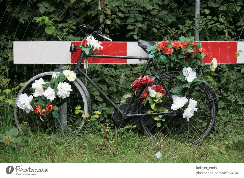 A bicycle decorated with flowers leans against a red and white road marker Bicycle man's bicycle hollandrad Wheel flower decoration bike Barque cordon