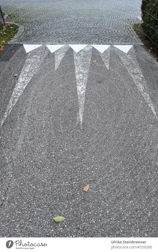 Marking with pointed prongs on the asphalt limited bike path mark Street Asphalt Lane markings Sign Road marking Prongs sharpen Gray White Clue Orientation