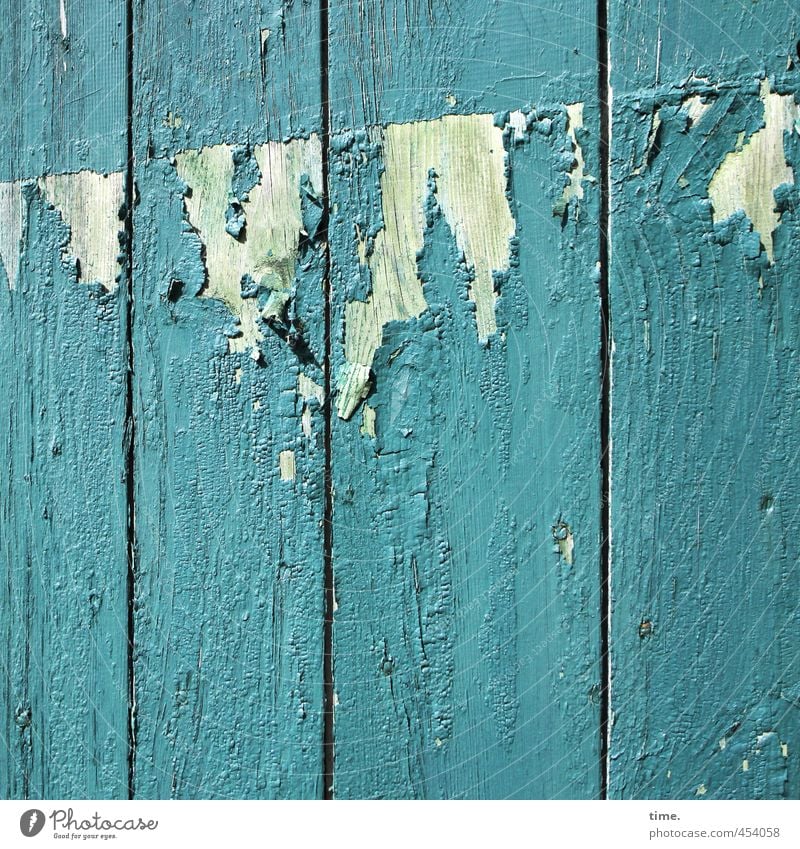 Trash! 2013 | rocked out Barn Barn door Wall (barrier) Wall (building) Gate Wooden gate Varnish Wooden board Dye Line Old Creepy Hideous Broken Rebellious