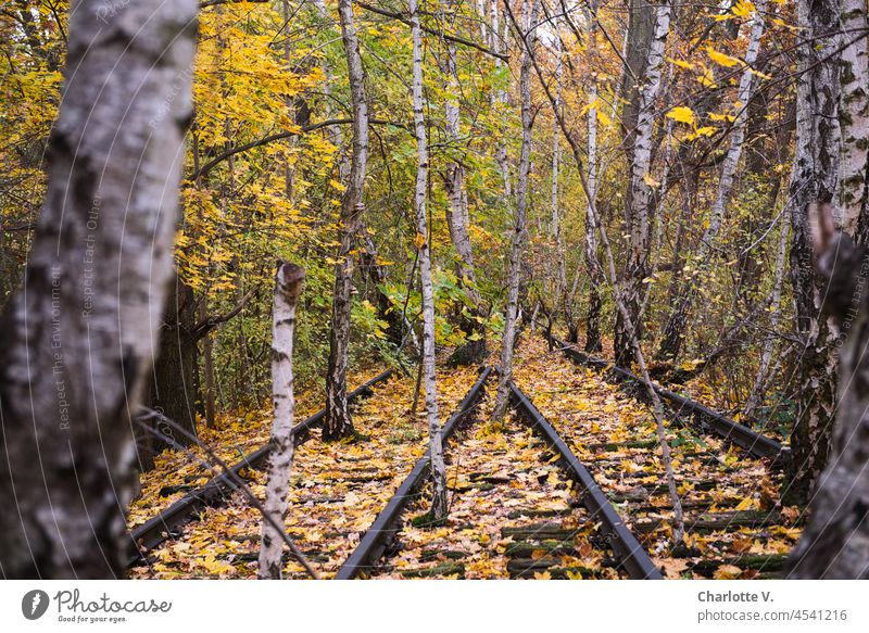 Decommissioned | User Meeting Berlin November 2021 Railroad tracks Lanes & trails Exterior shot Traffic infrastructure Colour photo Deserted decommissioned