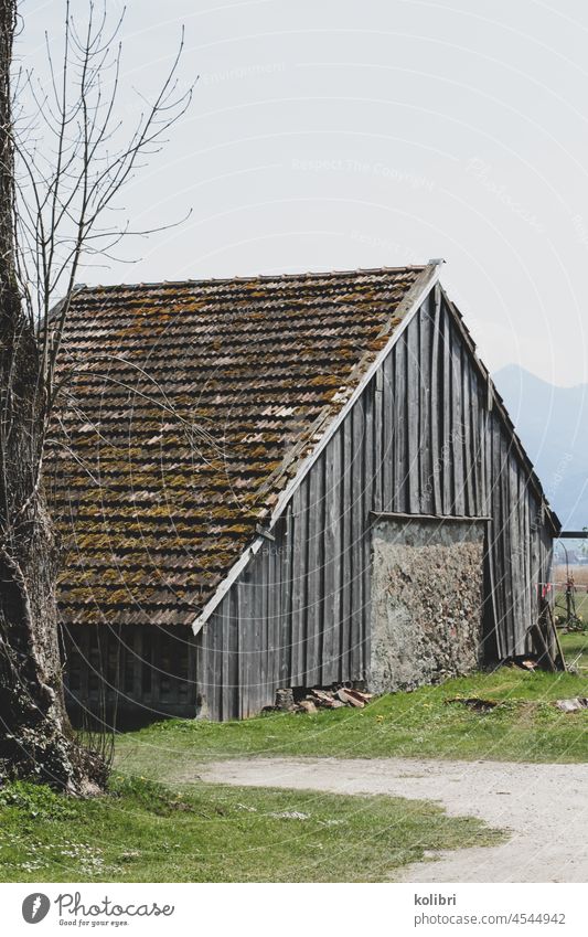 Old wooden barn with bricked up gate, deep mossy roof, beside it the part of a bare tree is to be seen, in front of the barn a gravel path and some grass, in the background blurred a mountain.