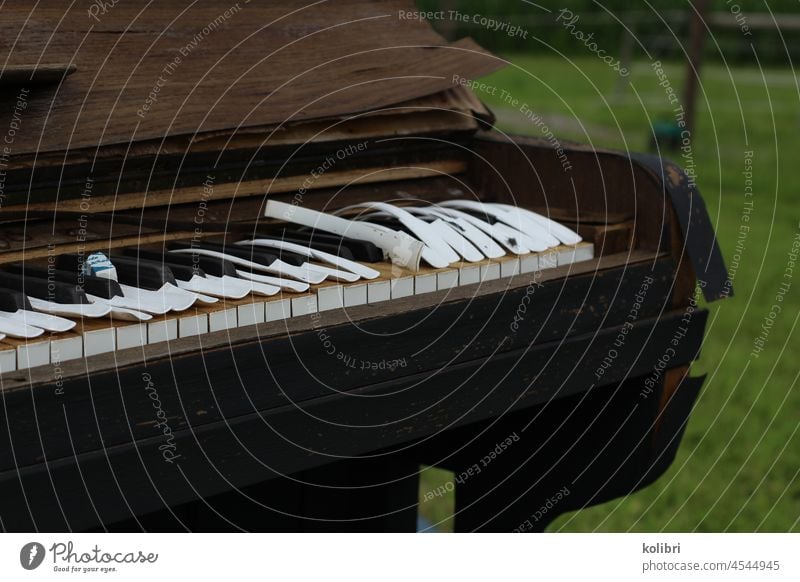 Detail of an old weathered piano, the varnish of the white keys is splintering, a fly is sitting on a key, in the background green meadow Piano Old Weathered