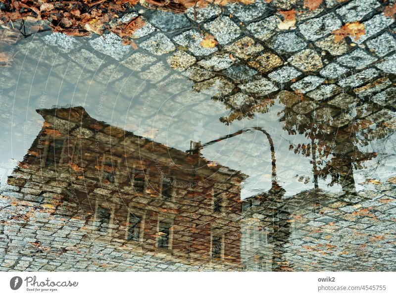 waterway Puddle Wet Town House (Residential Structure) Street Water Go crazy Rain On the head Mirror image Cobblestones Stone Building puddle mirroring