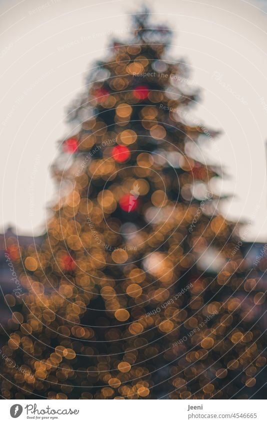 Blurred Christmas tree defocused blurred blurriness Abstract bokeh Light Christmas & Advent hazy Decoration clearer Festive Glittering Bright sparkle