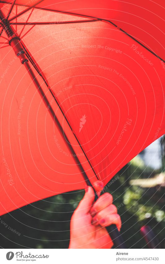 Red light therapy bright red Warmth sun protection Sunshade Umbrellas & Shades guard sb./sth. shield Hot protective measure Hand Summer Weather