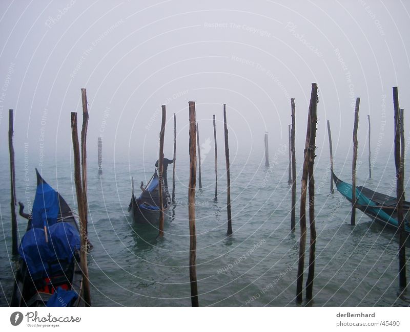 Venice in the fog Ocean Fog Europe Gondola (Boat) Haze Bright background Wooden stake Jetty Deserted Copy Space top