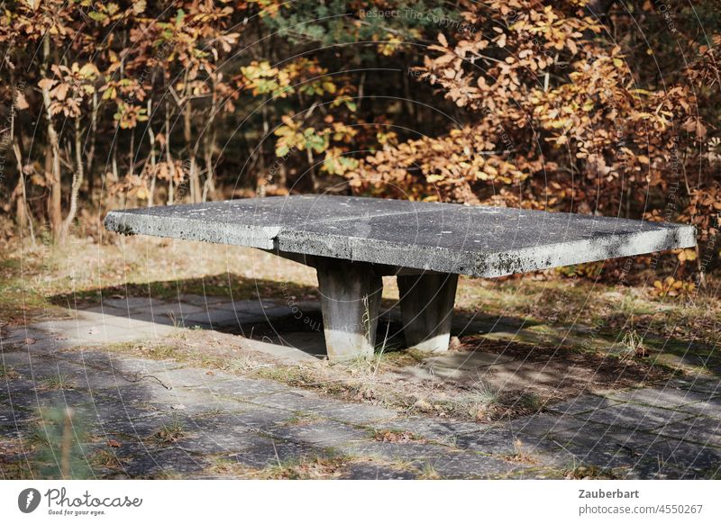 Concrete table tennis table in autumn landscape Table tennis Table tennis table Autumn Autumnal landscape Playing Sports forsake sb./sth. Nature brutalism