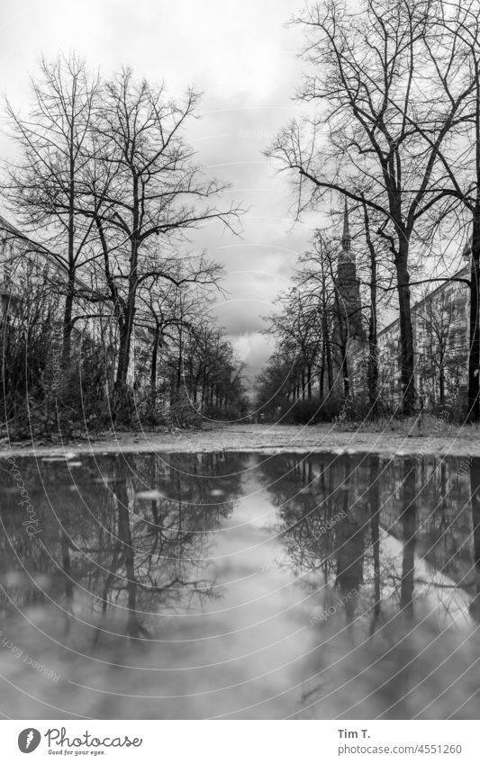 the Schönhauser Allee is reflected in a puddle Prenzlauer Berg b/w Puddle Berlin Downtown Capital city Town Exterior shot Old town Deserted Architecture