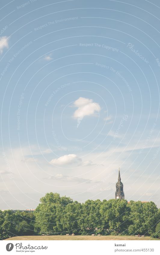 summer view Environment Nature Landscape Plant Sky Clouds Beautiful weather Warmth Tree Park Dresden Neustadt Town Downtown Old town Church Church spire Blue