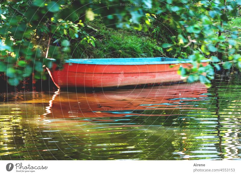 inviting Water boat Relaxation Beautiful weather idyllically Calm bank silent Sunlight Red water level Nature Deserted Loneliness Aquatics Retreat