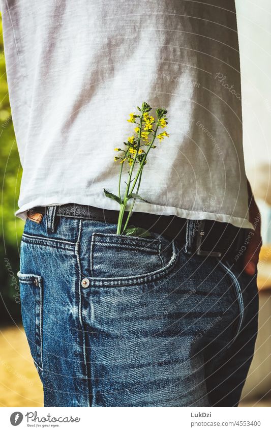 Small yellow flower in a pocket of blue jeans Close-up Nature blossom flowering flower floral gift wild flower Wild plant blooming wild flowers Flower
