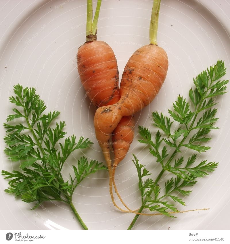 love of carrots Carrot 2 Healthy Love In pairs Related