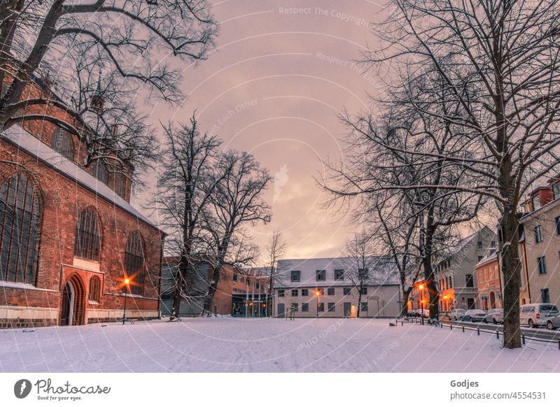 Snowy church forecourt in Greifswald at sunrise trees Building Clouds Snowscape Sunrise Winter Nature Cold Landscape Winter mood Winter's day Tree White