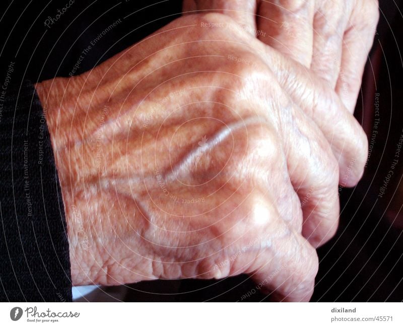 supplied with blood Hand Work and employment Time Calm Woman Old Vessel old hands Life Human being Detail