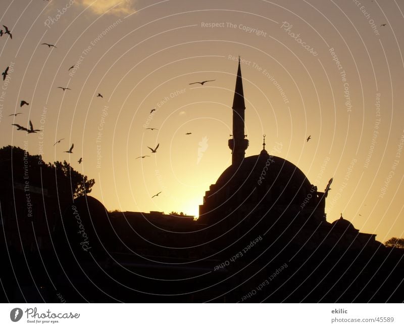 Istanbul Turkey Mosque Islam Sunset Success Sky