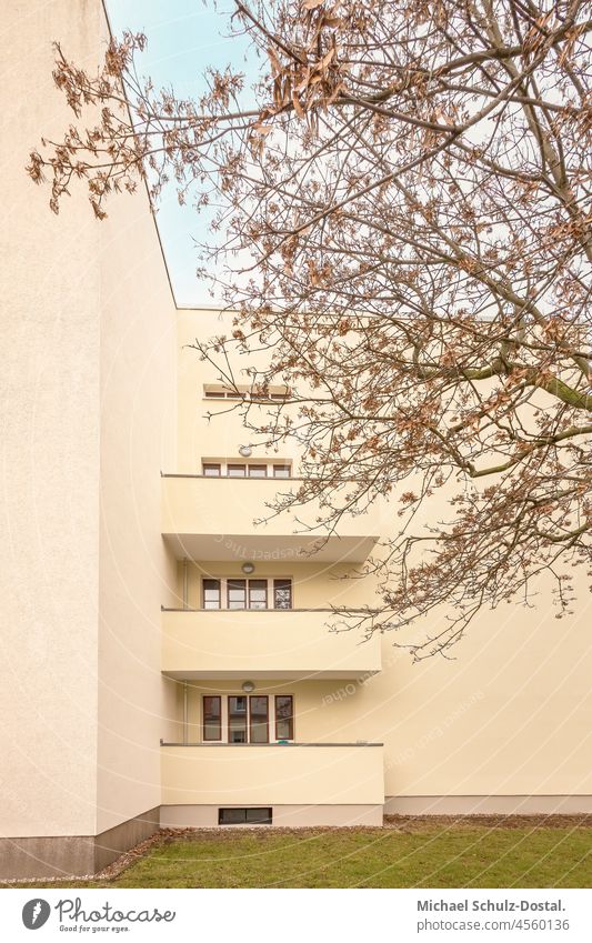 Bauhaus building corner in pale yellow with tree panorama modern new Red Orange Build Architecture Magdeburg curie minimum Colour apartment building shape