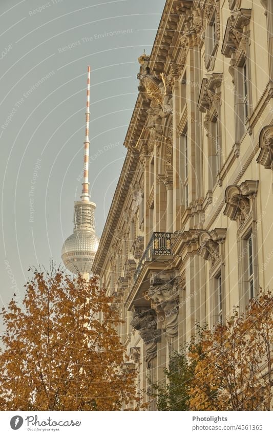 Facade of the Humboldt Forum in the background the Berlin TV Tower Television tower alex Capital city Landmark Tourist Attraction Tourism Architecture City