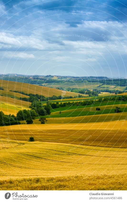 Rural landscape near Santa maria Nuova and Osimo, Marche, Italy Ancona Europe Santa Maria Nuova agriculture color country day farm field green hill nature