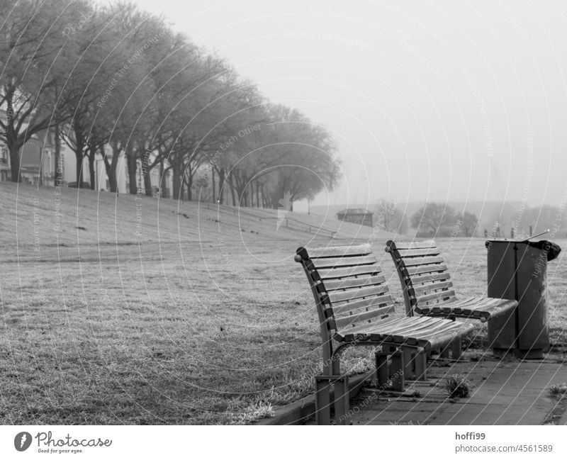 Benches on the dike in fog Winter chill Hoar frost Frost bench Fog dike top Dike Cold Wet Fresh Loneliness waste bins rubbish bin Tree Wall of fog Patch of fog