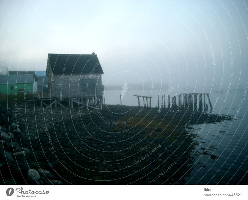 Boathouse in the fog Fog Footbridge Fishermans hut Weathered Decompose Putrefy Support Coast Ocean Canada Nova Scotia Fishery Hut Pole Water