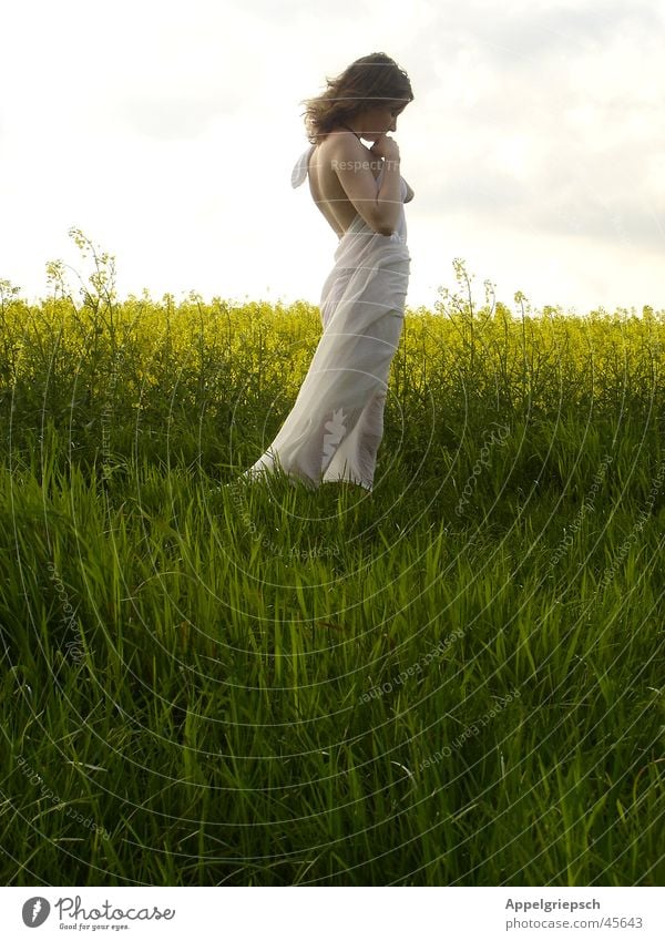 morning Calm Prayer Hope Caresses Field Canola Woman Peace Nature Young woman Exterior shot Full-length Profile Margin of a field Bright background Longing