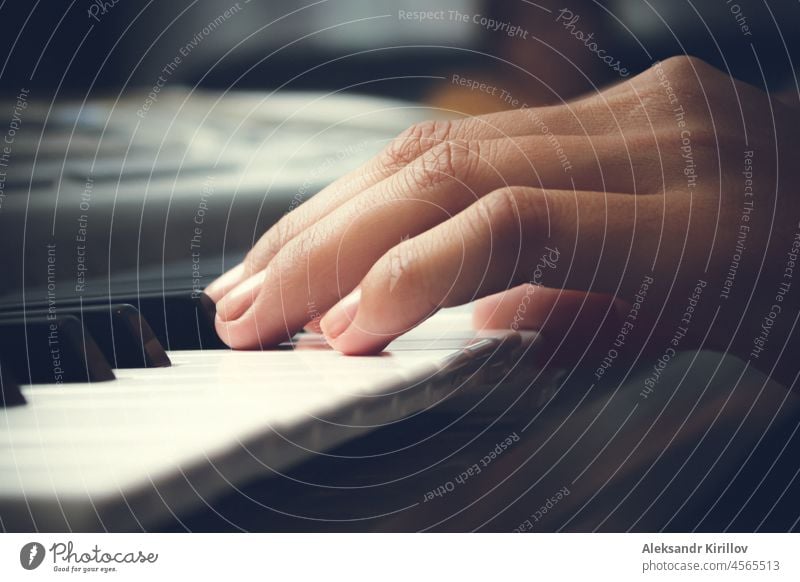 The musician plays the piano. Women's hands and keys close up. playing notes strings black keys white keys female hands close-up harmony melody artist pressing