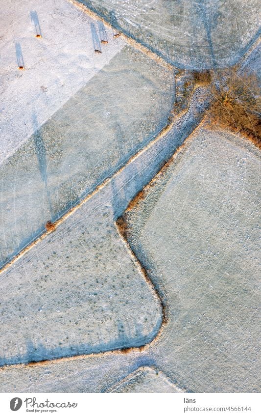 Paddocks from above in the snow Agriculture horses paddock Winter Snow Meadow Horse Fences Classification Bird's-eye view UAV view Light and shadow Willow tree