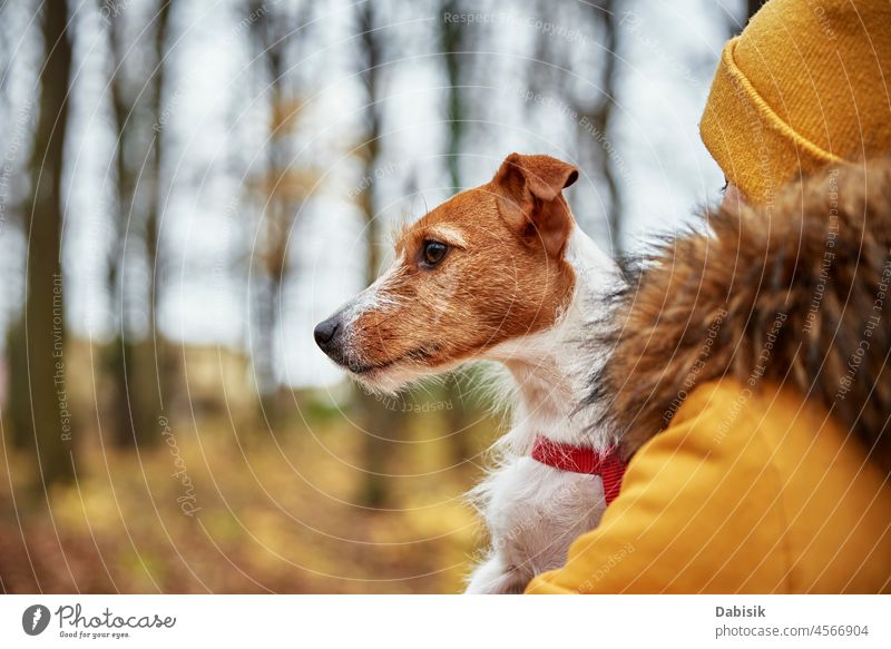 Woman with her dog in autumn park woman portrait walk nature outdoor pet owner season outdoors animal breed canine cheerful companion daytime domestic friend