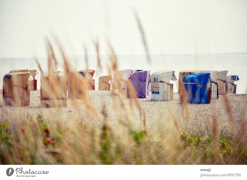 group snuggling Environment Nature Landscape Sky Bushes Beach Baltic Sea Ocean Free Cuddly Beautiful Beach chair Colour photo Exterior shot Deserted Day