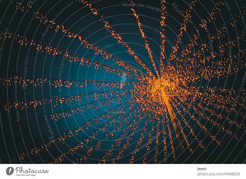 Twinkling tent of lights Light light net Above Net Fairy lights Sky Dark Evening Blue Illuminate Canopy (sky) especially Moody atmospheric Winter