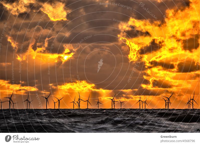 Storm clouds at sunset over the distant offshore windfarm from Walney Island on the Cumbrian Coast. renewables Renewableenergy Wind Wind energy plant